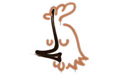 Sealed Graffiti | Recoil AK-47