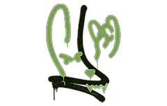 Sealed Graffiti | Recoil M4A1-S