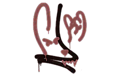 Sealed Graffiti | Recoil M4A1-S