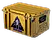 Shattered Web Case
