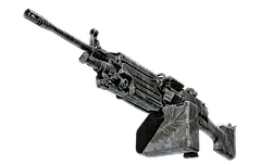 M249 | Midnight Palm
