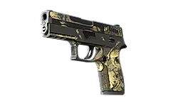 P250 | Contamination