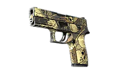 P250 | Contamination
