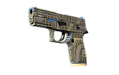 P250 | Exchanger