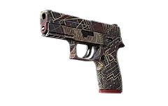 P250 | Facility Draft