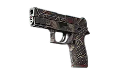 P250 | Facility Draft