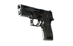 P250 | Metallic DDPAT