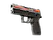StatTrak™ P250 | Cassette (Field-Tested)