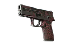 P250 | Contaminant