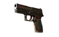 P250 | Cyber Shell