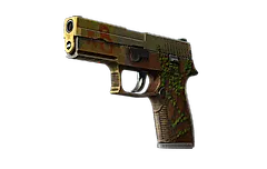 P250 | Inferno