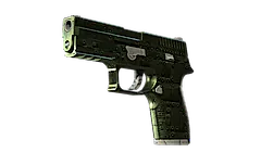 P250 | Iron Clad