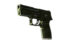 P250 | Iron Clad