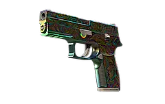 P250 | Visions