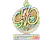 Sticker | 910 (Holo) | Copenhagen 2024