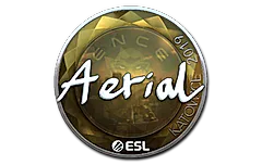 Sticker | Aerial (Foil) | Katowice 2019