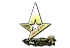 Sticker | Astralis (Gold) | Antwerp 2022