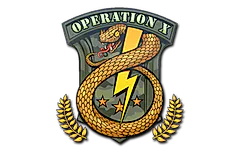 Sticker | Badge of Service