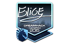 Sticker | EliGE (Foil) | Cluj-Napoca 2015
