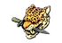 Sticker | Enemy Spotted