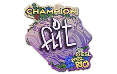 Sticker | FL1T (Champion) | Rio 2022