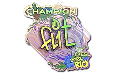 Sticker | FL1T (Holo, Champion) | Rio 2022