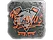 Sticker | FL4MUS (Foil) | Austin 2025