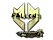 Sticker | FalleN (Gold) | Antwerp 2022