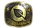 Sticker | FlyQuest (Gold) | Austin 2025