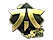 Sticker | Fnatic (Gold) | Rio 2022