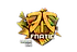Sticker | Fnatic (Holo) | Cologne 2016