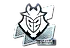 Sticker | G2 Esports (Foil) | Atlanta 2017