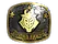 Sticker | G2 Esports (Gold) | Austin 2025