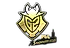 Sticker | G2 Esports (Gold) | Stockholm 2021