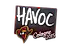 Sticker | Havoc | Cologne 2015