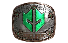 Sticker | Imperial Esports (Foil) | Austin 2025