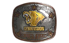 Sticker | Lynn Vision (Foil) | Austin 2025
