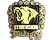 Sticker | Lynn Vision (Gold) | Budapest 2025