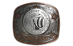 Sticker | Metizport (Foil) | Austin 2025