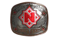 Sticker | Nemiga (Foil) | Austin 2025