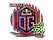 Sticker | OG (Holo) | 2020 RMR