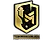Sticker | PGL (Gold) | Copenhagen 2024