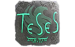 Sticker | TeSeS (Foil) | Austin 2025