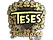 Sticker | TeSeS (Gold) | Budapest 2025