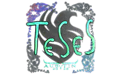 Sticker | TeSeS (Holo) | Austin 2025