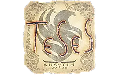 Sticker | TeSeS | Austin 2025