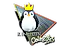 Sticker | Team Kinguin (Foil) | Cologne 2015