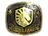 Sticker | Team Liquid (Gold) | Austin 2025