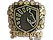 Sticker | Team Liquid (Gold) | Budapest 2025