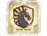 Sticker | Team Liquid | Austin 2025